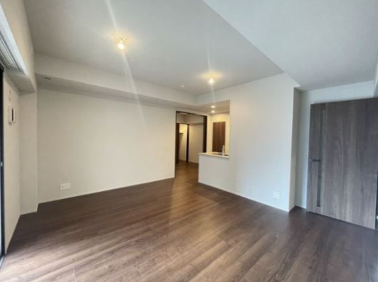 レーベン福岡天神ONE TOWERの居間・リビング