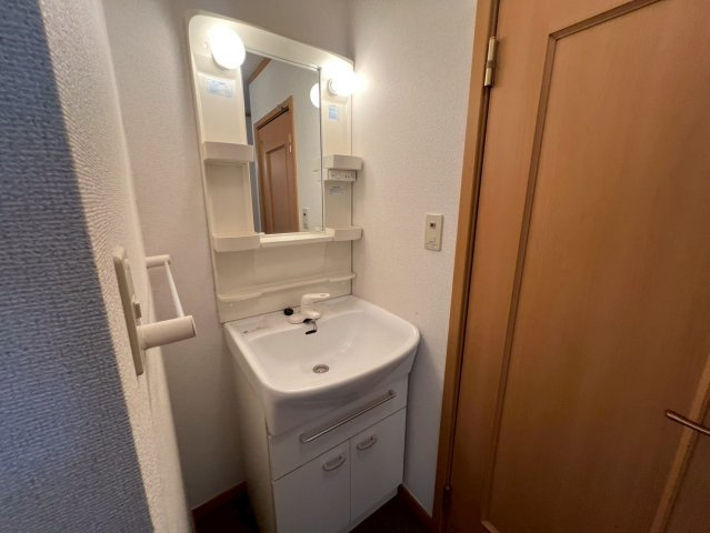 ブリッサ桜岡Ａの洗面所