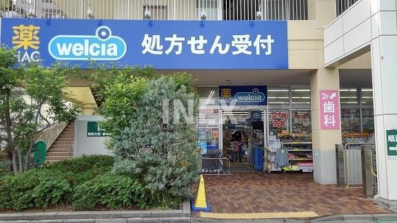 横浜市港北区樽町２丁目の賃貸マンションの周辺|ドラッグストアまで500m