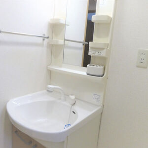 グリーンハイム三軒の洗面所