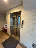 【その他】 | サンライズタカチオ