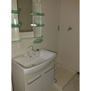 グレイス新伊勢山の洗面所