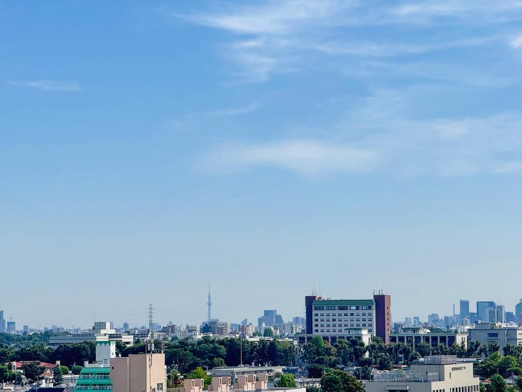 武蔵野市緑町１丁目の中古マンションの展望