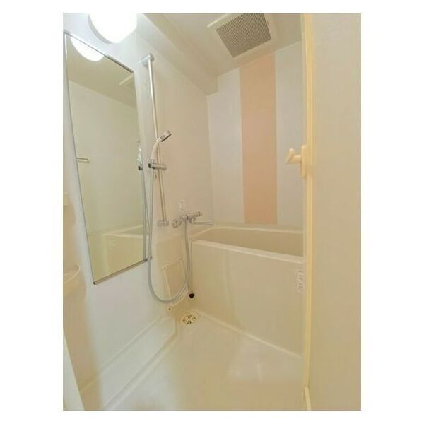 ディオレクレスト東心斎橋の浴室