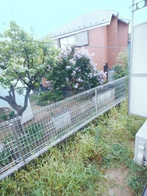 日当たり良好