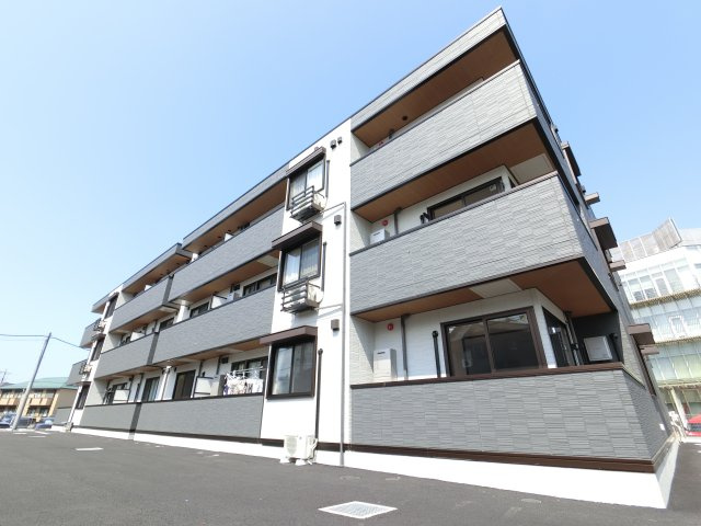 ガーベラ・グレイス