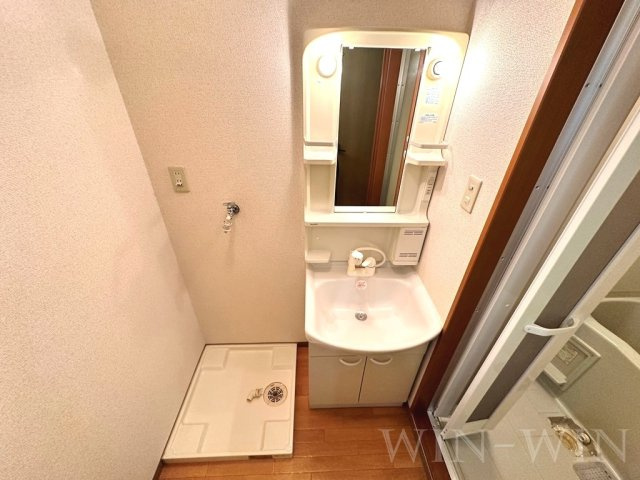 ネオコスモ西沢の洗面所