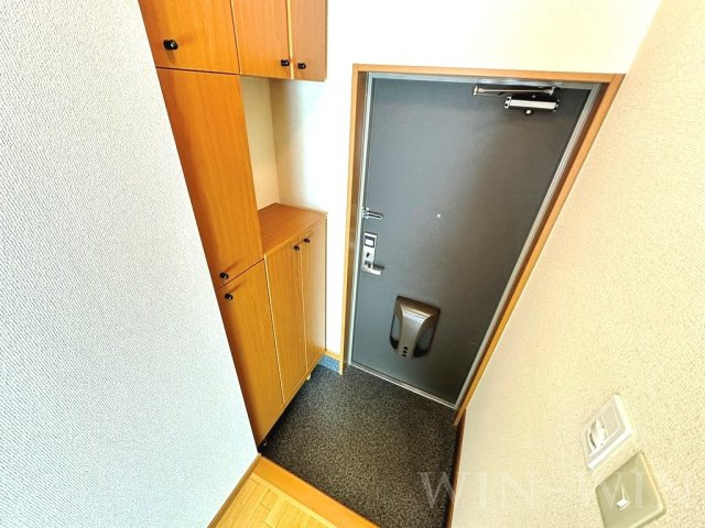 ネオコスモ西沢の玄関