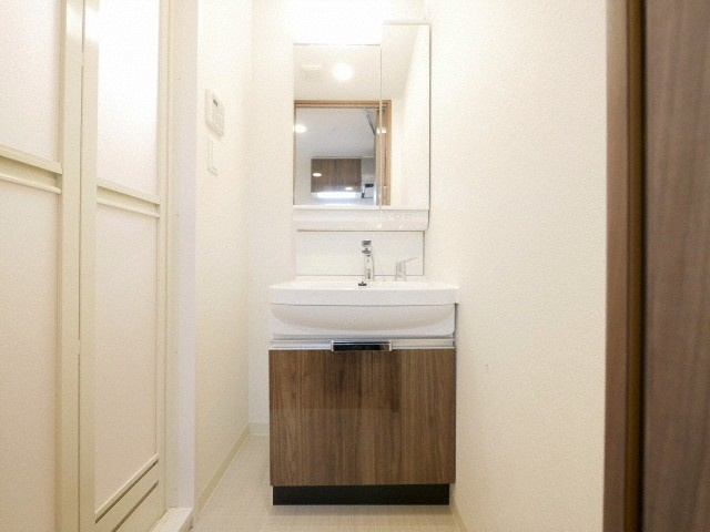 プレサンス天王寺ノースヴィアーレの洗面所