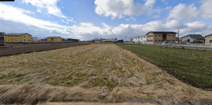 三股町蓼池　の画像