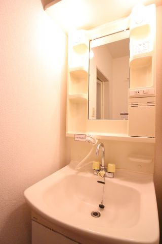 ディアス花森の洗面所