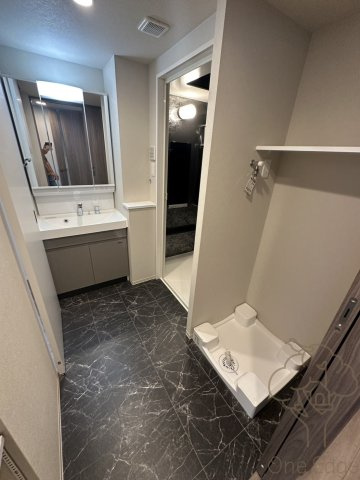 S-RESIDENCE天満橋arの洗面所