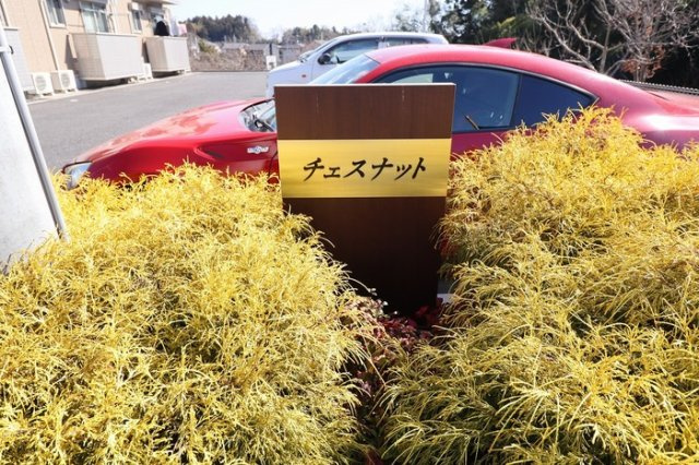 チェスナットのエントランス|館銘板