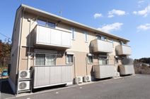 チェスナットの画像