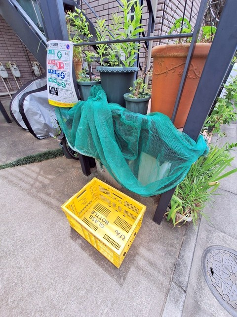 Ｖｅｒｄｕｒｅ北沢のその他共用部分|ゴミ捨て場