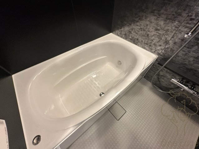S-RESIDENCE天満橋arの浴室