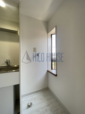 レザヴィのその他