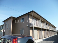 アムール花水木の画像