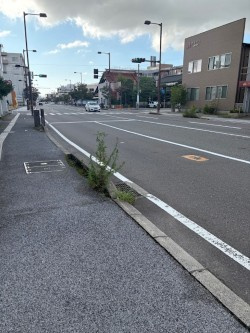 金沢市白菊町の事務所のその他|前面道路