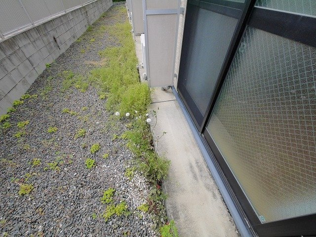 レオパレスＫＩＺＵＧＡＷＡのバルコニー|広々としたバルコニーです