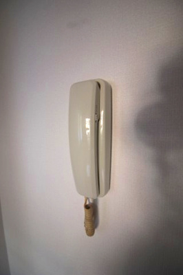 【セキュリティ】 | ハイム大誠和