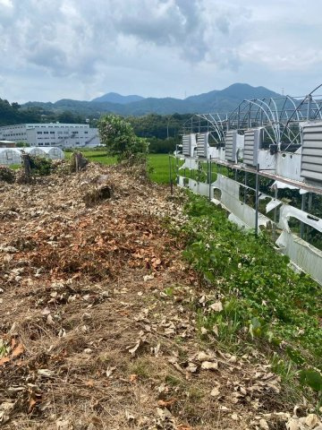 九度山　工場・倉庫のその他