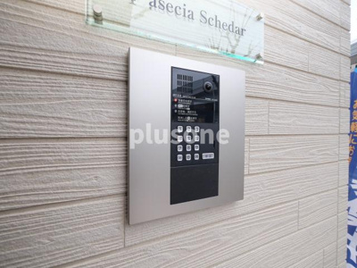 【その他】 | F asecia Schedar