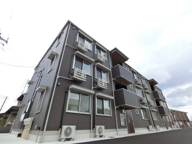 シャイングレイス