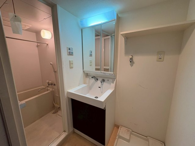 エステムコート名古屋栄デュアルレジェンド|名古屋市の賃貸ならMy賃貸の洗面所|メゾンイマイ