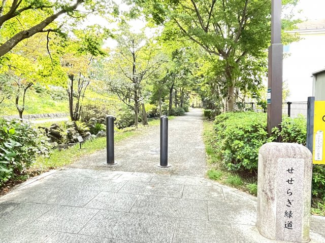物件バルコニー下にはせせらぎ緑道があり、四季折々の自然を楽しみながら散策することができます。