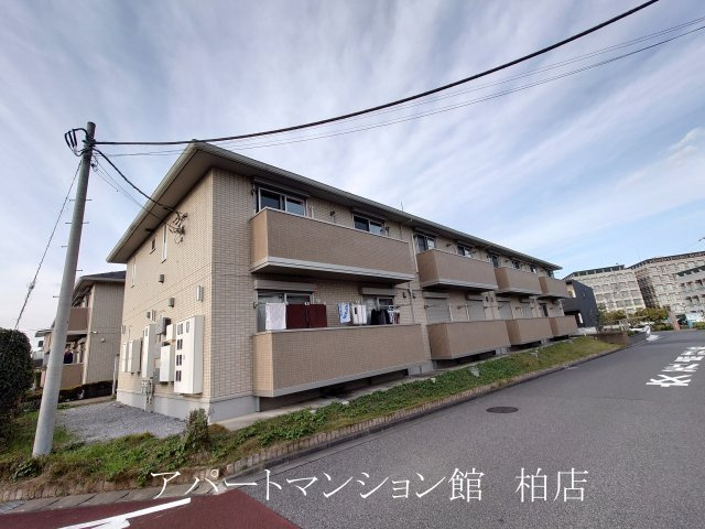 プリマヴェーラB