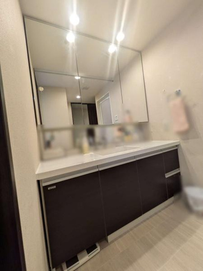 【独立洗面台】 | グランオーパスC棟