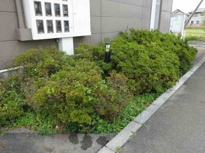 【その他】 | レオパレス飯島Ⅱ