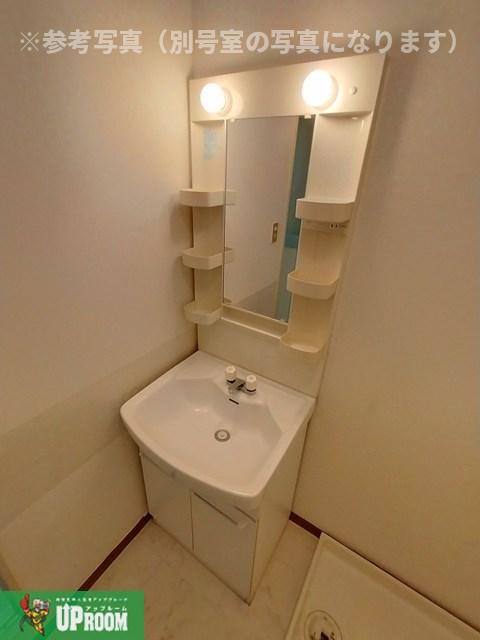 サンテラス花の木の洗面所