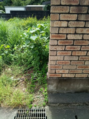 西条市丹原町田野上方2086-2　土地の周辺|西側境界