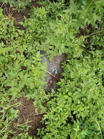 西条市丹原町田野上方2086-2　土地のその他|公営水道