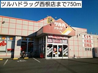 メゾンドフラン　イシカラＡの周辺|ツルハドラッグ西根店まで750m