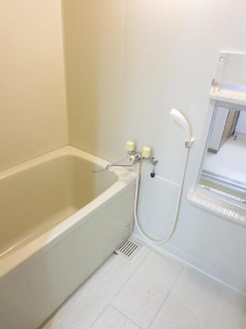 Ｖシャトー　アロースリーⅥの浴室