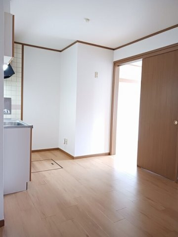 Ｌａｗ　Ｆｌｏｗｅｒのその他