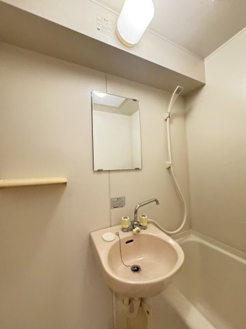 パルメーラ山手の洗面所