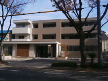 アネスティーの画像