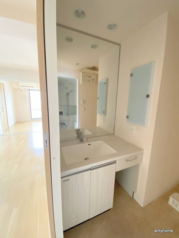 LaSante梅田北　仲介手数料無料の洗面所