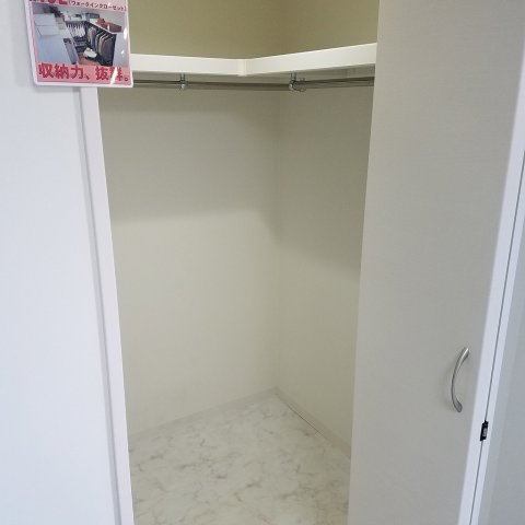 セントポプラの収納