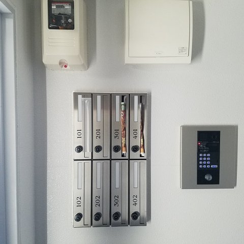 セントポプラのその他