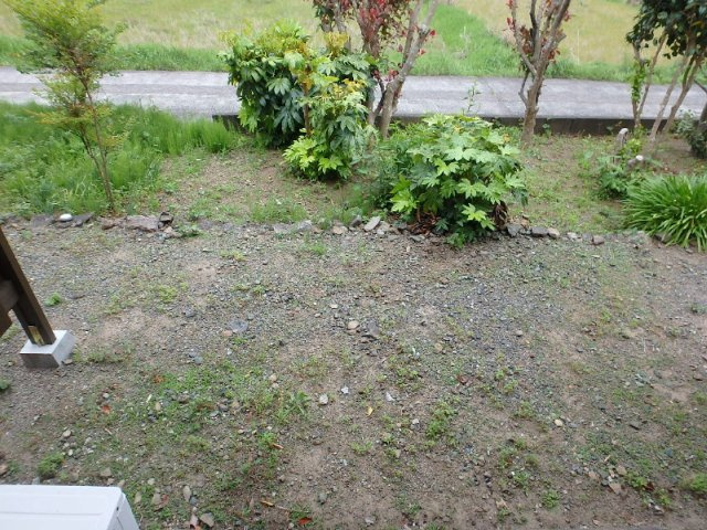 古山アパートの庭
