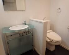 ＣＨＥＬＳＥＡⅢの洗面所