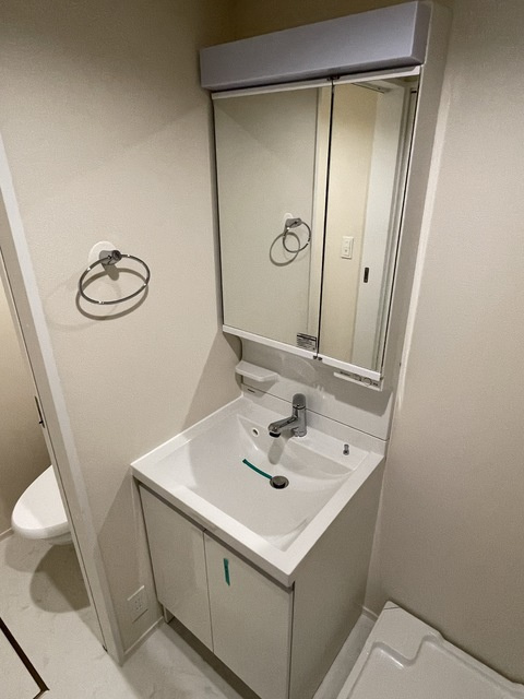 へーベルメゾン護国寺の洗面所