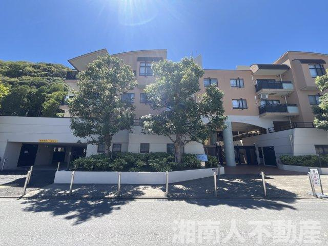 レクセル湘南平塚