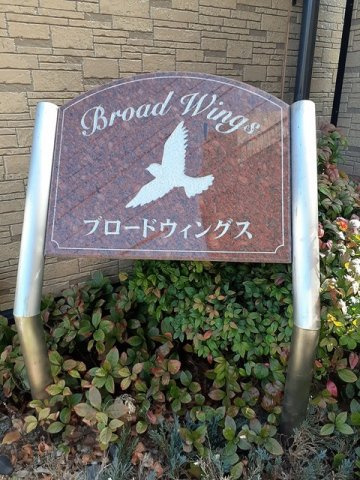 ブロードウィングスのその他