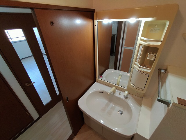 神戸市兵庫区新開地５丁目の賃貸マンションの洗面所|シャンプードレッサー